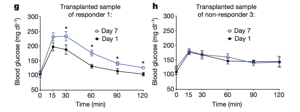 Glycemic responses in animals having received faecal transplants from human saccharin responders and non-responders.